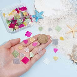 150Pcs 15 Styles Spray Painted Natural Capiz Shell Pendants&nbsp;SHEL-PH0001-74