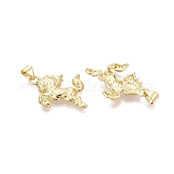 Brass Pendants&nbsp;KK-N287-45E-G