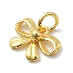 Brass Charms&nbsp;KK-C139-04G