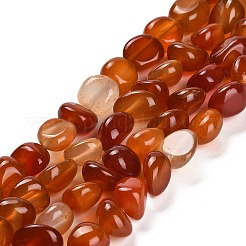 Natural Carnelian Beads Strands&nbsp;G-L595-B01-01