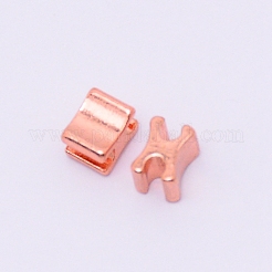Clothing Accessories&nbsp;PALLOY-WH0071-68B-RG
