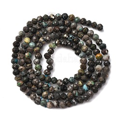 Natural African Turquoise(Jasper) Beads Strands&nbsp;LS-G-RM2025-A25-3mm