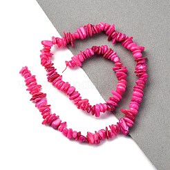 Natural Freshwater Shell Beads Strands&nbsp;BSHE-I016-01G