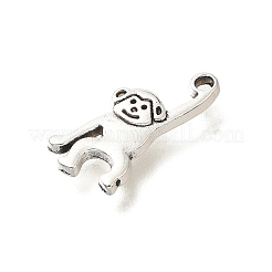Tibetan Style Alloy Pendants&nbsp;FIND-G078-04AS