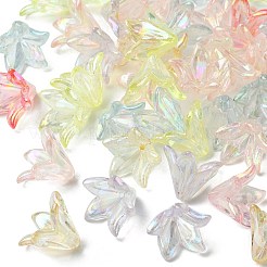 Transparent Acrylic Bead Caps&nbsp;OACR-FS0001-49