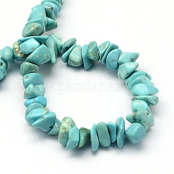 Synthetic Green Turquoise Stone Bead Strands&nbsp;G-R192-B23-1