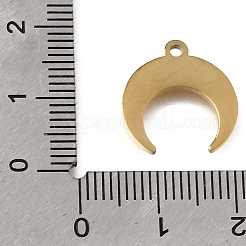304 Stainless Steel Pendants&nbsp;STAS-E532-12G