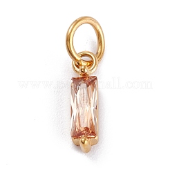 304 Stainless Steel Cubic Zirconia Pendants&nbsp;STAS-E487-21
