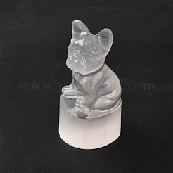 Natural Selenite Figurines&nbsp;DJEW-Q006-01B