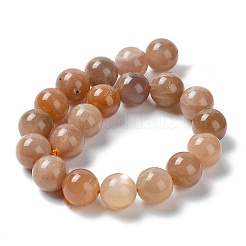 Natural Sunstone Beads Strands&nbsp;G-N327-01B-03