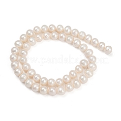 Natural Cultured Freshwater Pearl Beads Strands&nbsp;PEAR-I007-07J-01A