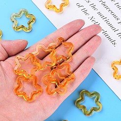 Transparent Acrylic Beads&nbsp;LS-MACR-S373-24-B05