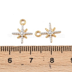 Ion Plating(IP) 304 Stainless Steel Charms&nbsp;STAS-F293-42GP