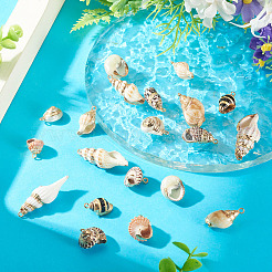 18Pcs 9 Styles Electroplated Natural Shell Pendants&nbsp;BSHE-TA0001-35