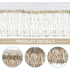 10 Yards Beading Sequins Polyester Tassel Ribbons&nbsp;OCOR-WH0003-041B