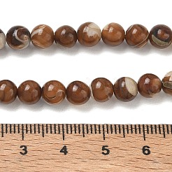 Natural Trochus Shell Beads Strands&nbsp;SH-CBAFEDD-02A