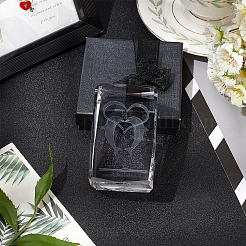 Transparent Glass Display Decorations&nbsp;DJEW-WH0010-41