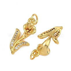 Brass Micro Pave Clear Cubic Zirconia Pendants&nbsp;KK-F941-35B-G