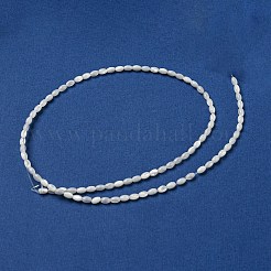 Natural Trochus Shell Beads Strands&nbsp;SSHEL-H072-02A