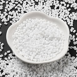 Glass Frosted Seed Beads&nbsp;SEED-K009-05B-01