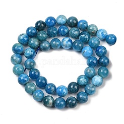 Natural Apatite Beads Strands&nbsp;G-P591-A01-01
