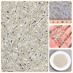 3000Pcs Glass Seed Beads&nbsp;SEED-PA0001-29B-05