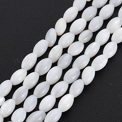 Natural Freshwater Shell Beads Strands&nbsp;SHEL-N027-08A