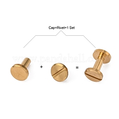 Luggage Leather Belt Brass Craft Solid Screw Rivet&nbsp;KK-WH0004-6mm-01C