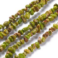 Natural Imperial Jasper Bead Strands&nbsp;G-P444-05