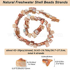 4 Strands Dyed Natural Freshwater Shell Beads Strands&nbsp;SHEL-BBC0001-14A
