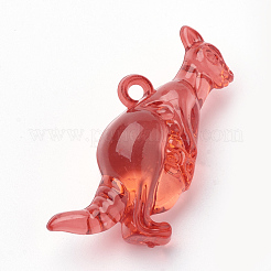 Transparent Acrylic Pendants&nbsp;TACR-T002-09