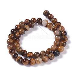 Natural Yellow Tiger Eye Beads Strands&nbsp;G-H238-8mm
