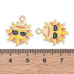 Alloy Enamel Pendants&nbsp;AL-CBAE435-11G