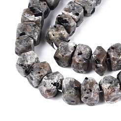 Natural Syenite Beads Strands&nbsp;G-D091-A32
