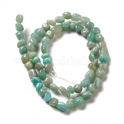 Natural Amazonite Beads Strands&nbsp;G-D081-A06