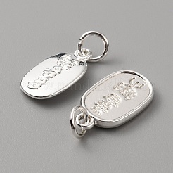 Alloy Charms&nbsp;FIND-WH0014-76A