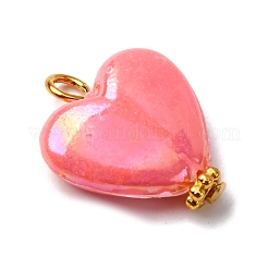 Opaque Acrylic Pendants&nbsp;PALLOY-JF04421-01