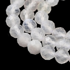 Natural Rainbow Moonstone Beads Strands&nbsp;G-P500-01C-01A