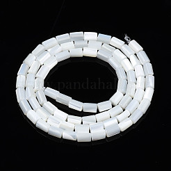 Natural Freshwater Shell Beads Strands&nbsp;SHEL-N003-26-A01