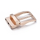 Alloy Buckles&nbsp;PALLOY-D010-01A-1