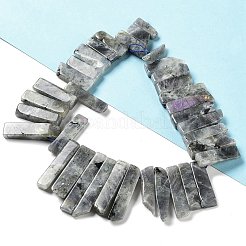 Natural Labradorite Beads Strands&nbsp;G-L551B-06