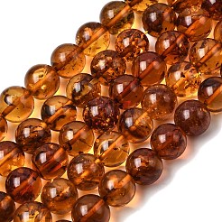 Natural Amber Beads Strands&nbsp;G-K376-H02-03