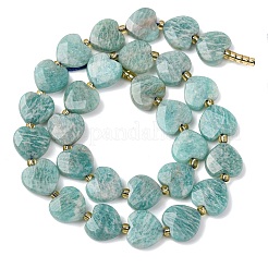 Natural Amazonite Beads Strands&nbsp;G-L654-M01-01
