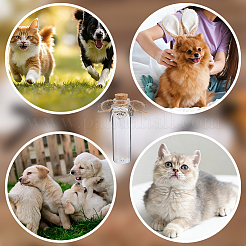 4Pcs Glass Cork Wishing Bottles&nbsp;AJEW-DR00052