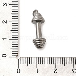 304 Stainless Steel Pendants&nbsp;STAS-M070-18P