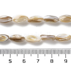 Natural Freshwater Shell Beads Strands&nbsp;SSHEL-B002-13