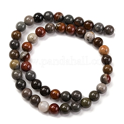 Natural Picture Jasper Beads Strands&nbsp;G-H037-A01-02