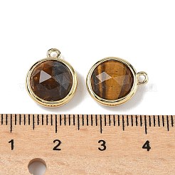 Natural Tiger Eye Faceted Flat Round Charms&nbsp;G-U028-03G-02