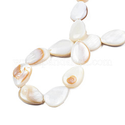 Natural White Shell Beads Strands&nbsp;X-PBB263Y-1