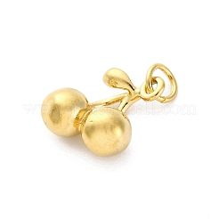 304 Stainless Steel Charms&nbsp;STAS-U049-01A-01G